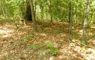 Additional View