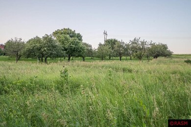 43778 Spruce Haven Ln, New Ulm, MN 56073 - photo 4