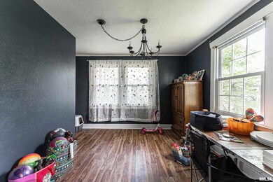 1005 Tremont St, Lincoln, IL 62656 - photo 6