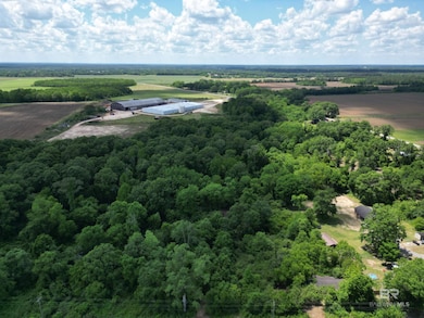 10961 Highway 97, Mc David, FL 32568 - photo 6