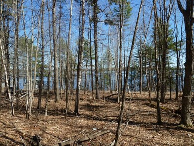 0 Muddy River Ln, Bowdoinham, ME 04008 - photo 5