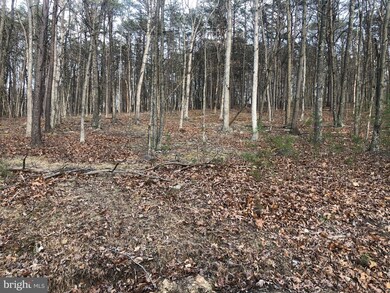 0 Little Cacapon Mountain, Gore, WV 26704 - photo 5