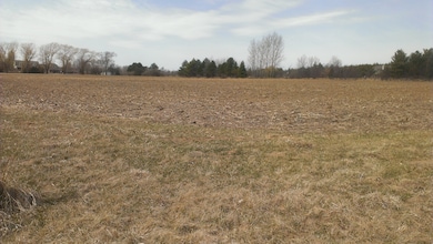 00 Nilsen Ct, Chemung Township, IL 60033 - photo 4