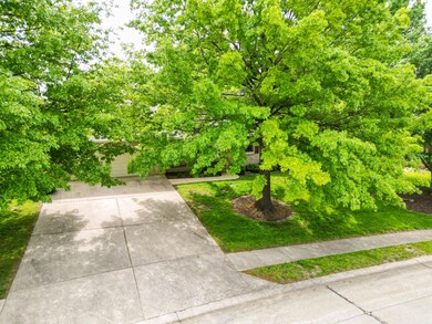 DJI_0040