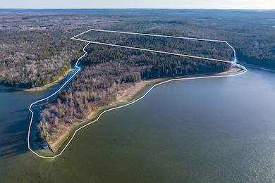 Lot 76-77 Nepp Point Rd, Roque Bluffs, ME 04654 - photo 5