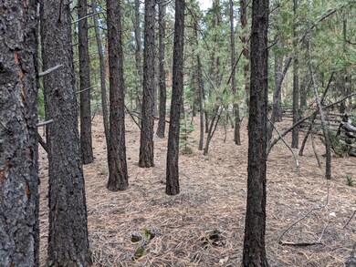 Lot is cleaned and cleared