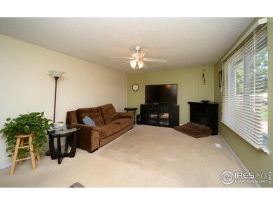 3780 Jackson Way, Thornton, CO 80233 - photo 4