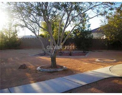 Other. back yard