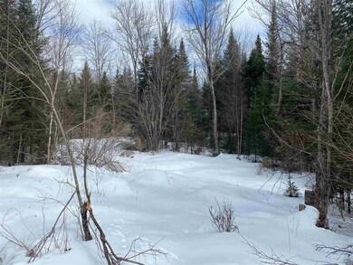 203 W Forest Lake Rd, Bethlehem, NH 03574 - photo 7