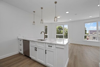 64 Alpine St unit 303, Boston, MA 02119 - photo 6