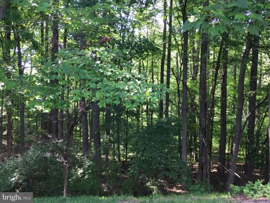 137 Timberbrook Ln unit 101, Gaithersburg, MD 20878 - photo 4