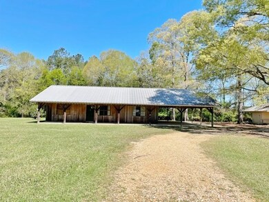 435 Highway 48 W, Tylertown, MS 39667 - photo 2