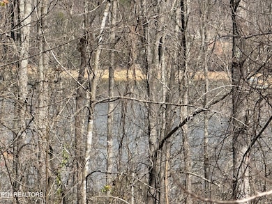 TBD Brandt Pike, Lafollette, TN 37766 - photo 3