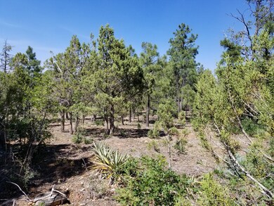1401 Thinleaf