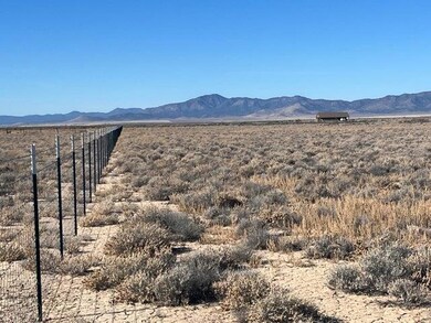 005. South Property Line Fence