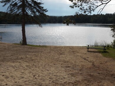 15-62 Alpine Way, Hillsborough, NH 03244 - photo 5