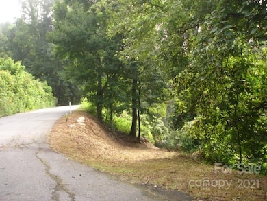 Paved road up the lot