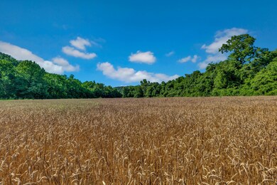 0 Tackets Br Rd unit RTC2400343, Goodspring, TN 38460 - photo 6