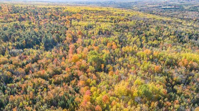 DJI_0115
