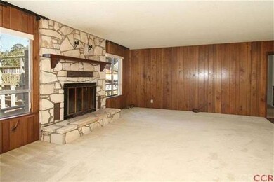 Wood-burning fireplace in living room.