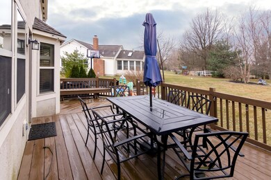 Rear Deck