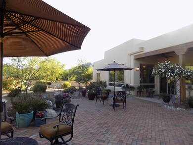 Back Patio