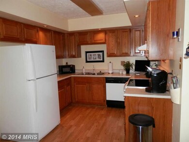 1605 Elkwood Ct, Annapolis, MD 21409 - photo 5