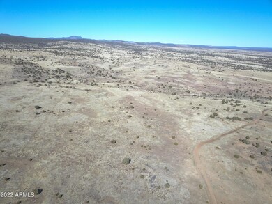 DJI_0002