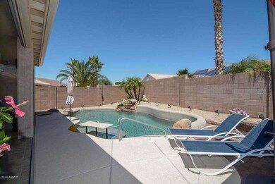 Backyard-Pool
