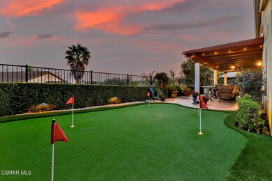 lBackyard1