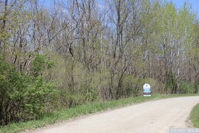 0 Roche Ln, Ancram, NY 12503 - photo 5