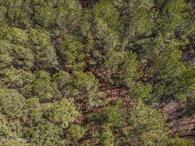 DJI_0574