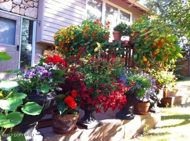 Summer front flowers