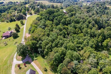 99999 May Hill Place unit B, Leicester, NC 28748 - photo 4