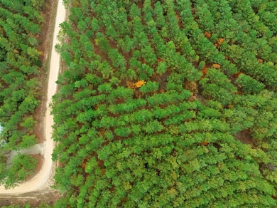 17 Hochacedar Trail, Broken Bow, OK 74728 - photo 4