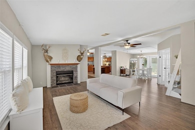 11110 Walter Hunter Rd, Lithia, FL 33547 - photo 4