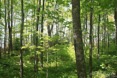 TBD 57 Lakeshore Dr unit 57, Ontonagon, MI 49953 - photo 7