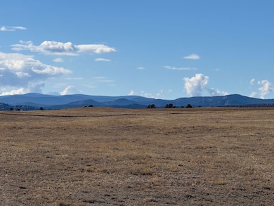 2424 Hwy 287, Tie Siding, WY 82070 - photo 4