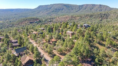 mls-DJI_0483_4_5 copy