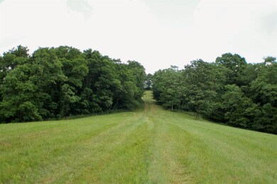 1 Alhambra Rd unit 3, Mount Olivet, KY 41064 - photo 5