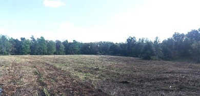 911 Moore Ln, Cookeville, TN 38506 - photo 5