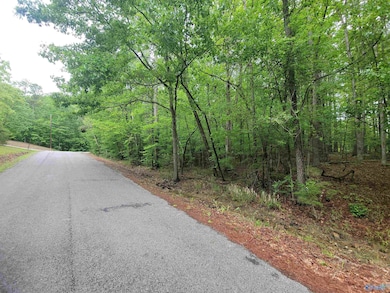 2.5 Aqua Vista Dr E, Tidmore Bend, AL 35901 - photo 3