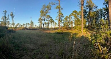 0 Seagrape Ave unit MFRA4672088, Eustis, FL 32736 - photo 6