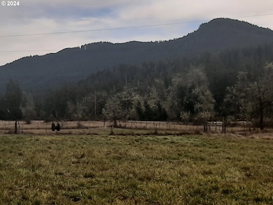 39933 Layng Creek Rd, Dorena, OR 97434 - photo 2