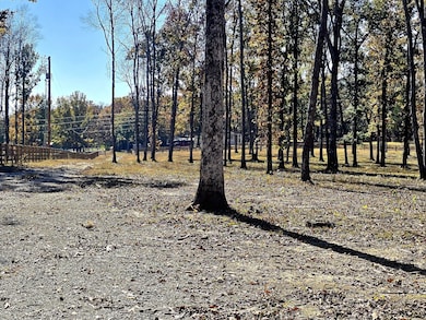 4821 Kedron Rd, Spring Hill, TN 37174 - photo 5