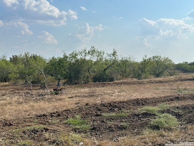 5894 Fm 1107 Unit A-Tract 2, Stockdale, TX 78160 - photo 6