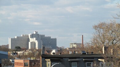 10 Westminster Ave unit 2, Roxbury, MA 02119 - photo 5