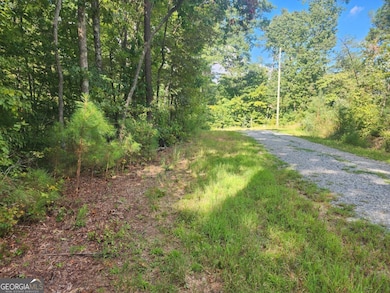 16 Hayden Ct, Ellijay, GA 30540 - photo 3