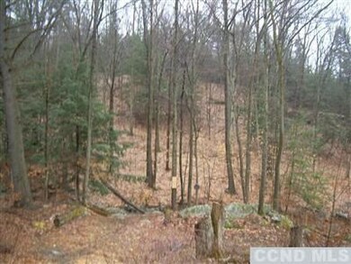 1711 Route 27, Taghkanic, NY 12502 - photo 3