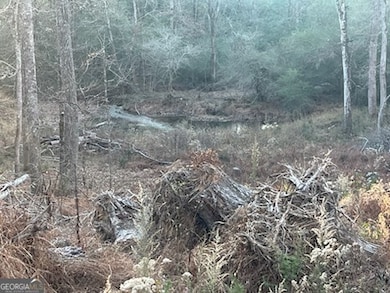 0 Mountain Creek Dr SE unit 10436191, Rome, GA 30161 - photo 7